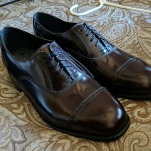 Men's brown dress shoes NWT size 13D wide